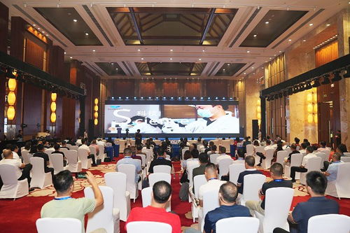 海南數字文化產業交流會成功舉辦 以數字化賦能文化產業高質量發展