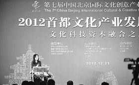 張作榮 文化產業發展與金融創新深度融合怎樣推進