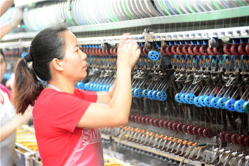 南海西樵本地孩子走進(jìn)老工廠學(xué)習(xí)傳統(tǒng)文化產(chǎn)業(yè)歷史,做名繅絲工人